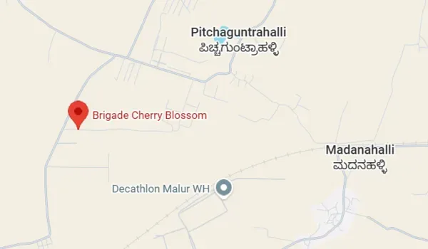 Featured Image of Brigade Cherry Blossom Location