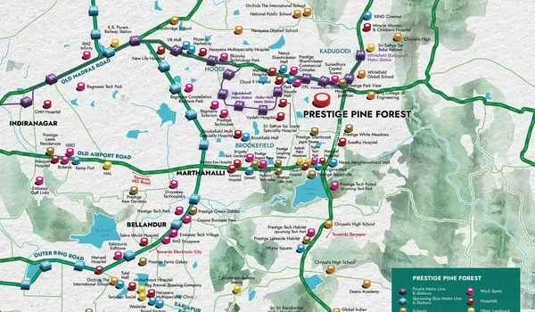 Prestige Pine Forest Location Featured Image of Prestige Pine Forest Location