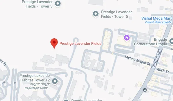Prestige Lavender Fields Location Featured Image of Prestige Lavender Fields Location